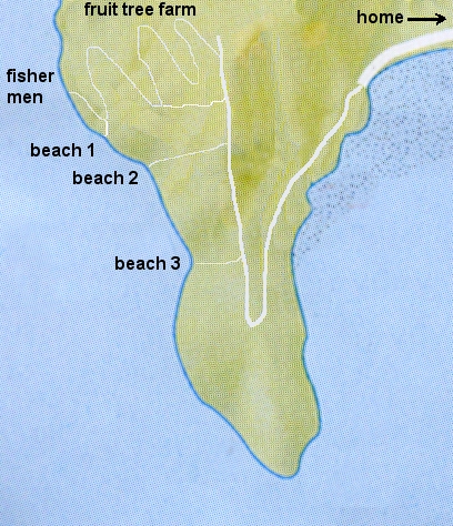 beach1.jpg